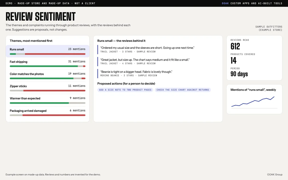 Example review sentiment screen showing review themes and the reviews behind them, on made-up store data